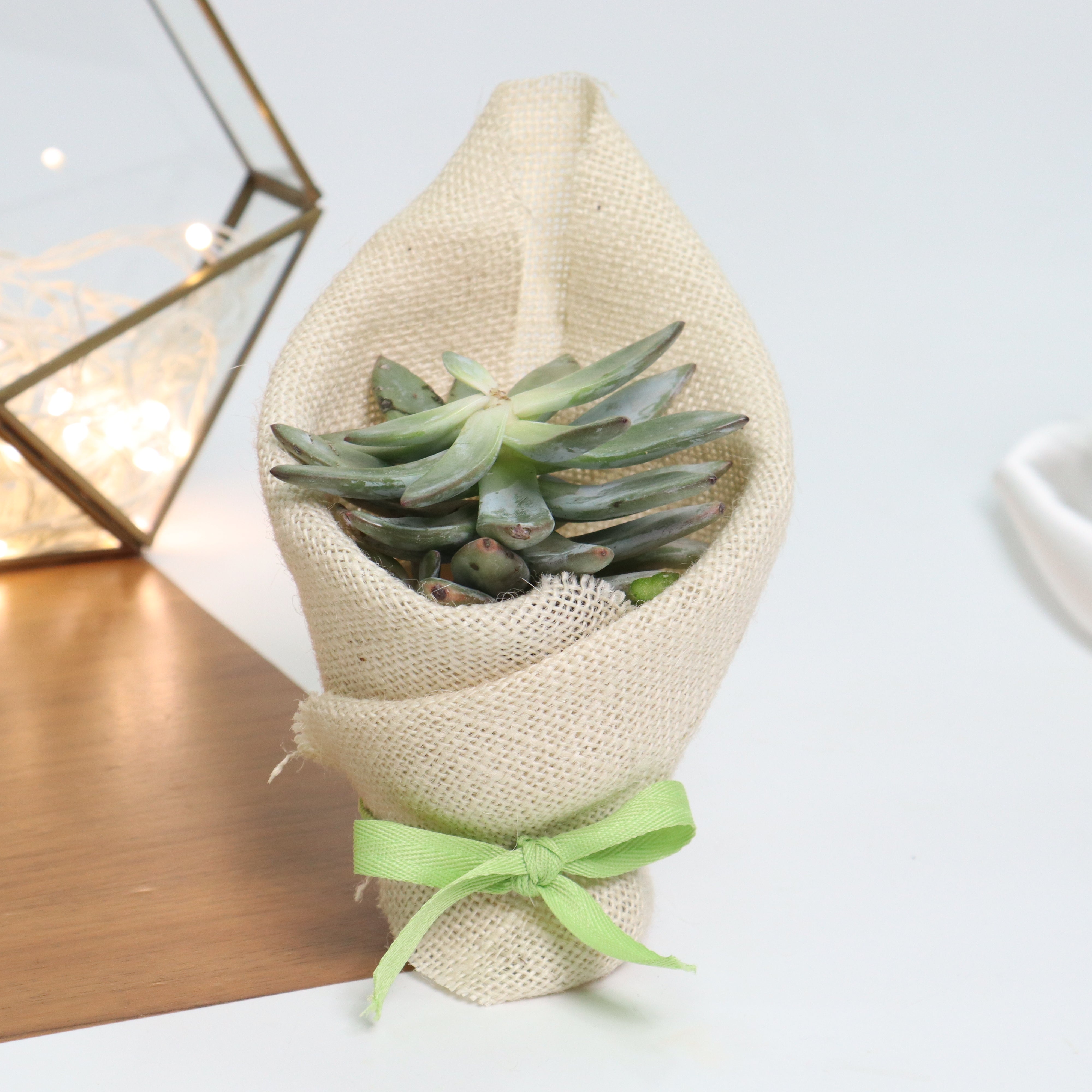 Festival Essence Hamper