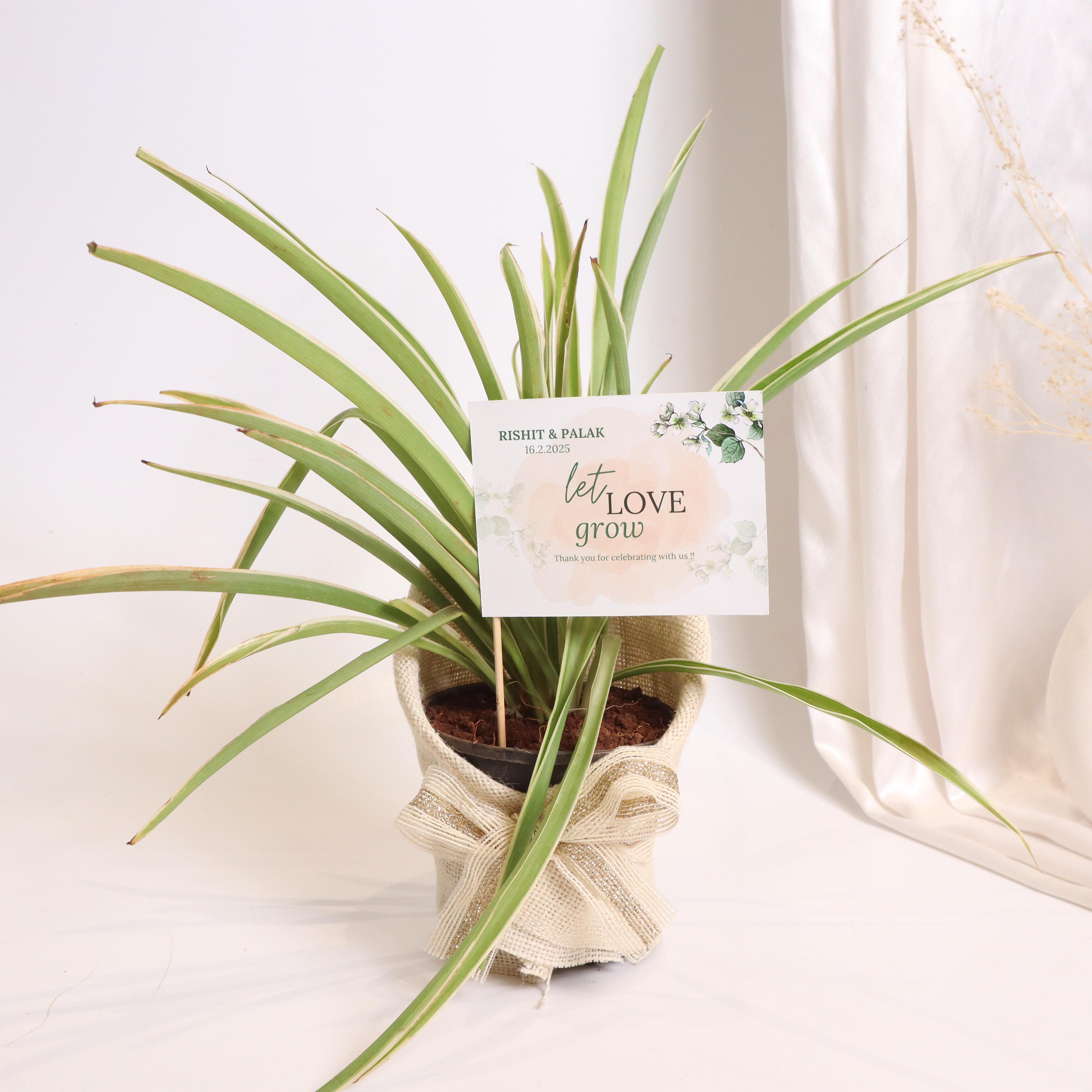 Rustic Romance Hamper