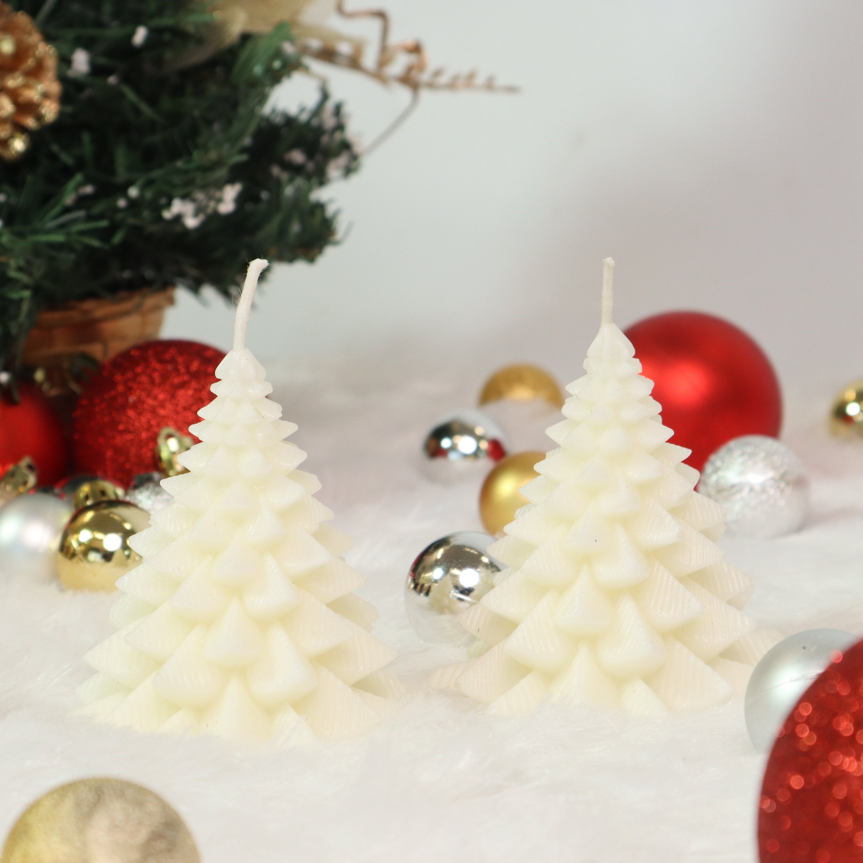 Winter WonderLand Lights