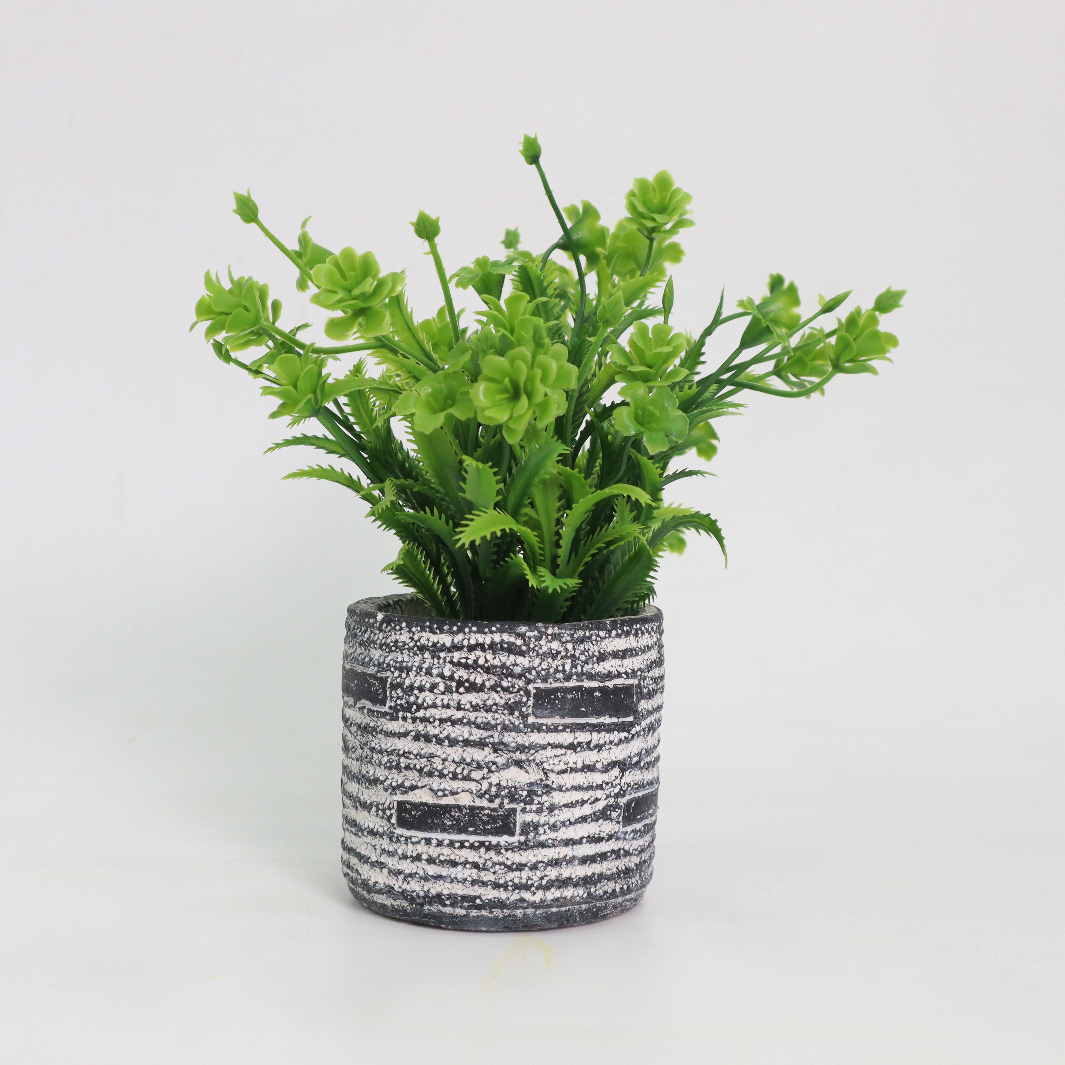 Dainty Daisies Delight