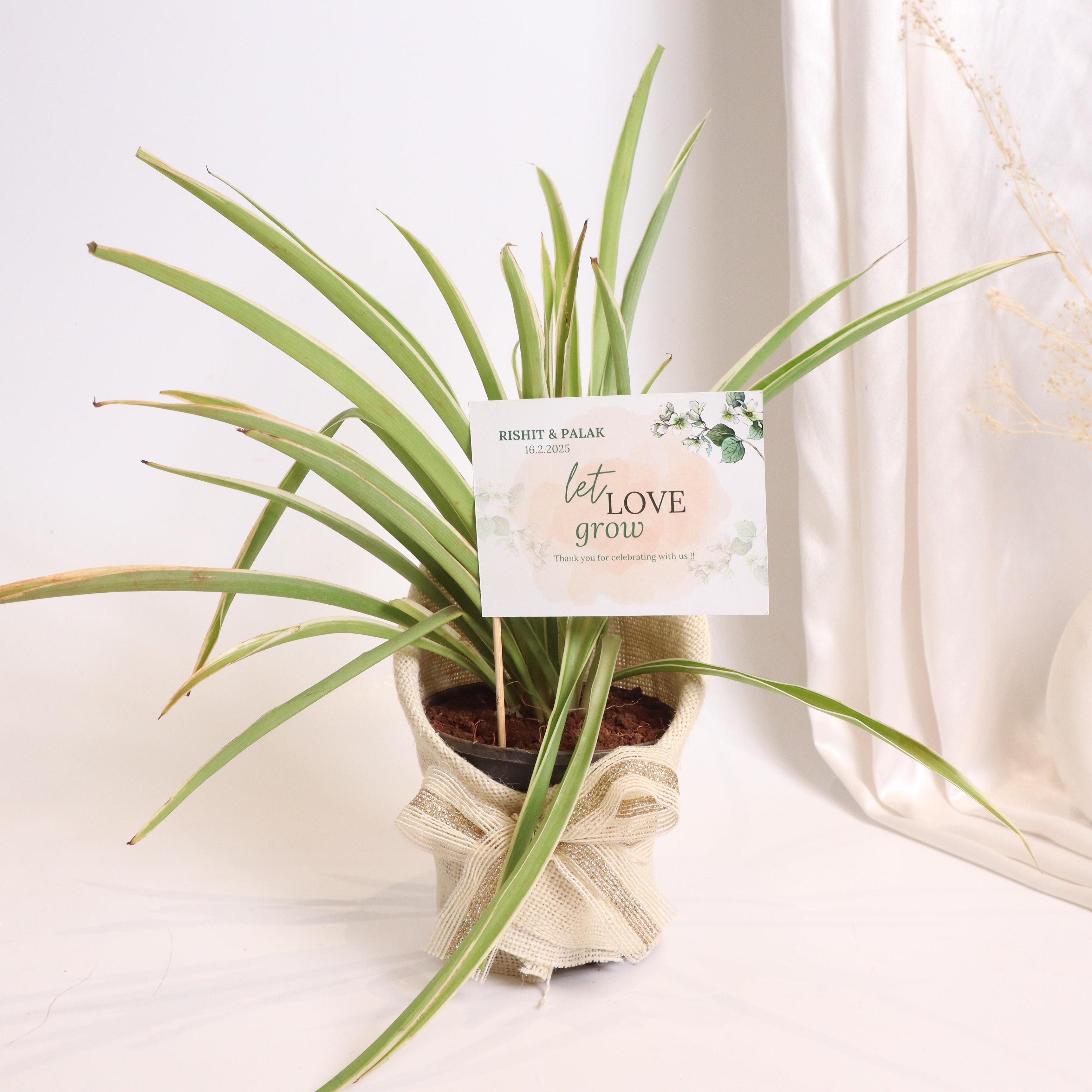 Rustic Romance Hamper